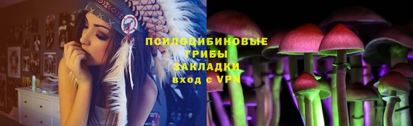 ешки Алексеевка