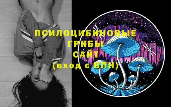 mix Алексин