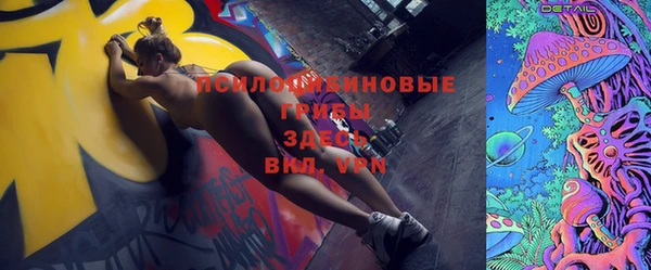 ешки Алексеевка