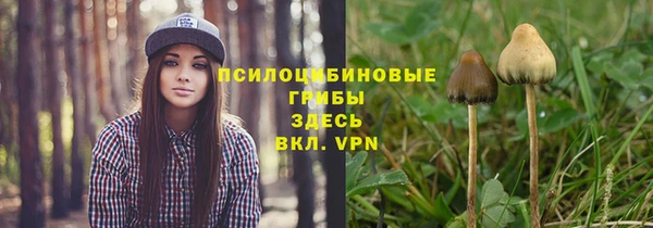 ешки Алексеевка
