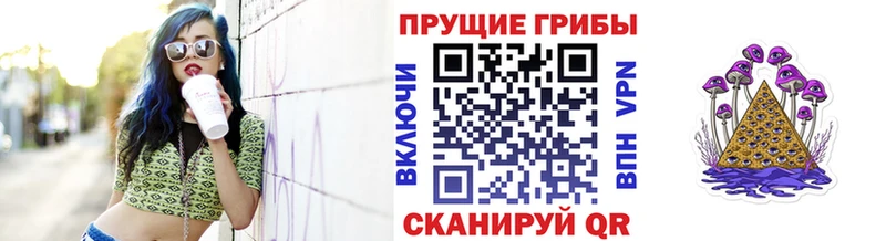 Галлюциногенные грибы Cubensis  как найти закладки  Кудрово 